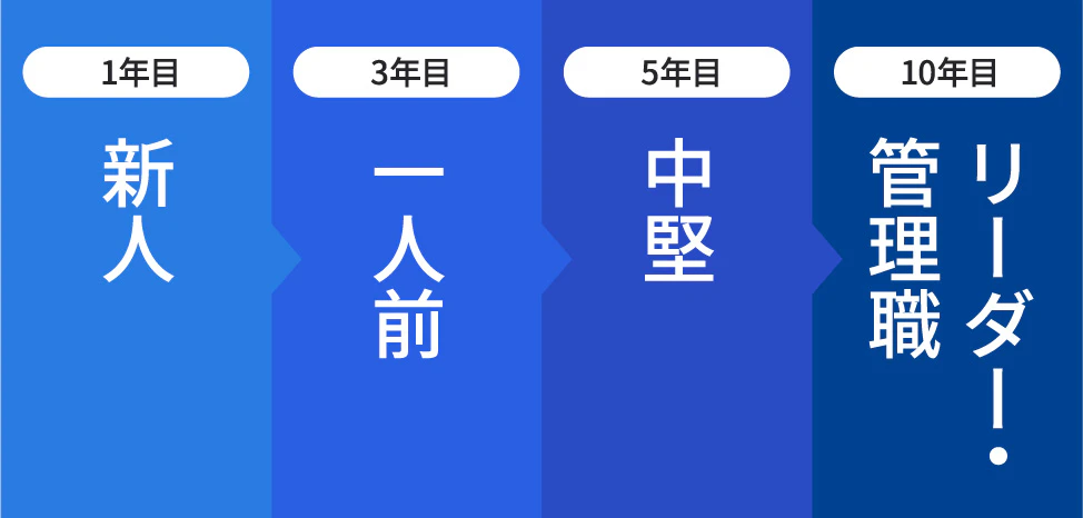 1年目：新人、3年目：1人前、5年目：中堅、10年目：管理職・リーダー